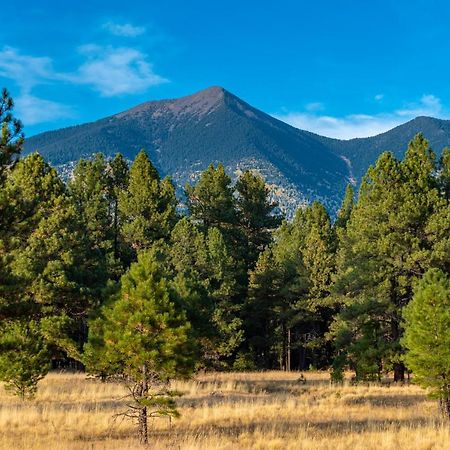 Mt. Elden Adventure Villa Flagstaff Dış mekan fotoğraf