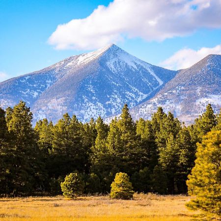 Mt. Elden Adventure Villa Flagstaff Dış mekan fotoğraf