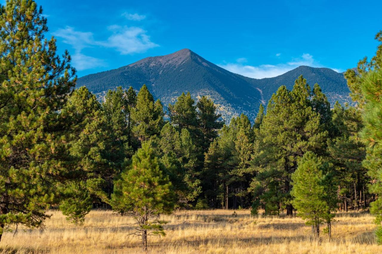 Mt. Elden Adventure Villa Flagstaff Dış mekan fotoğraf