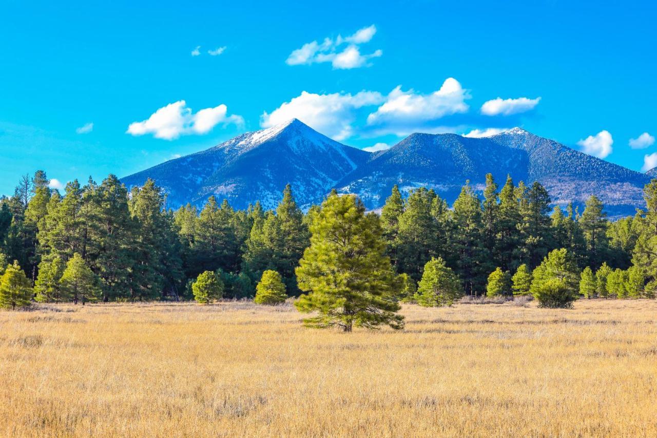 Mt. Elden Adventure Villa Flagstaff Dış mekan fotoğraf