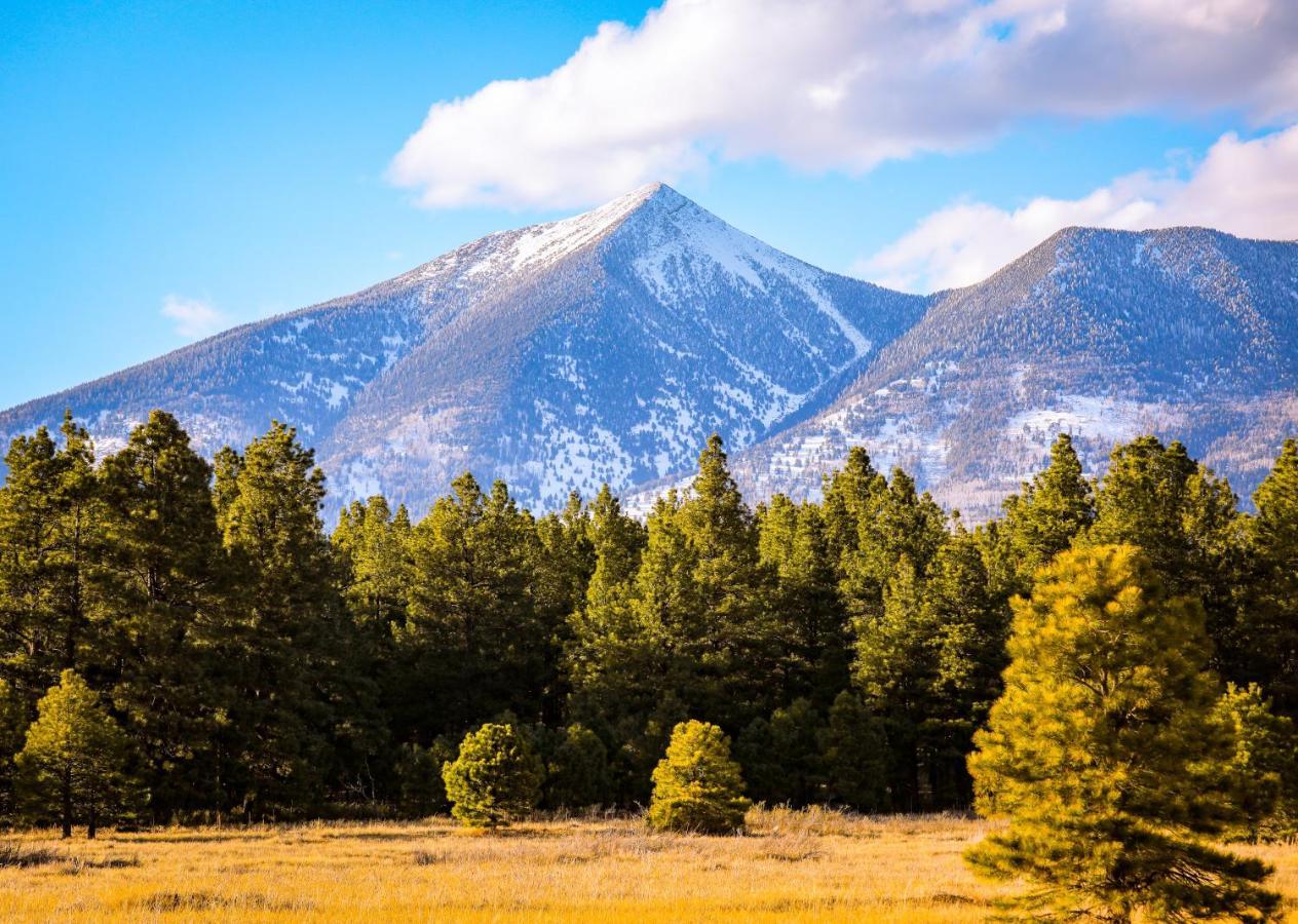 Mt. Elden Adventure Villa Flagstaff Dış mekan fotoğraf