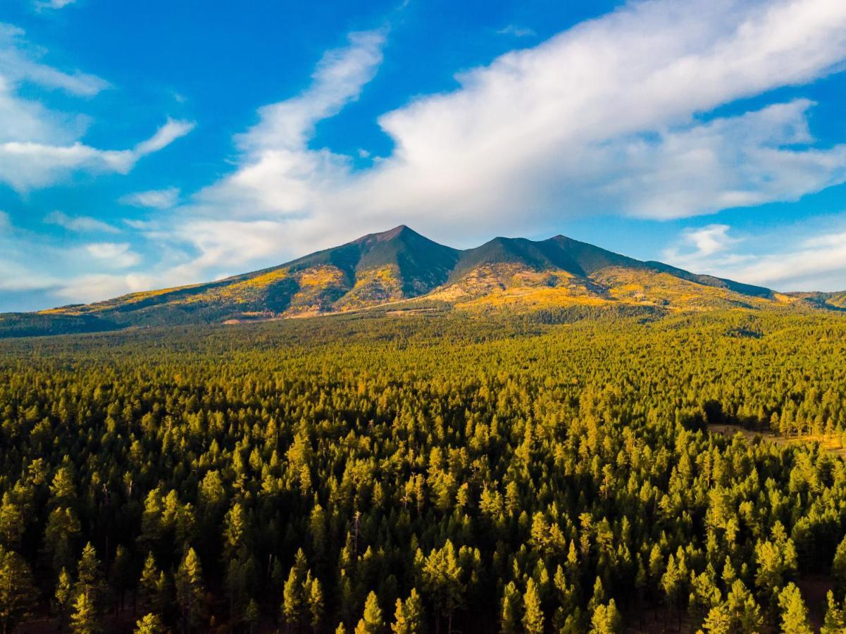 Mt. Elden Adventure Villa Flagstaff Dış mekan fotoğraf